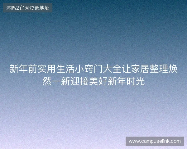 新年前实用生活小窍门大全让家居整理焕然一新迎接美好新年时光