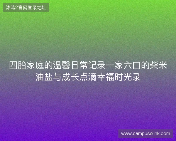 四胎家庭的温馨日常记录一家六口的柴米油盐与成长点滴幸福时光录